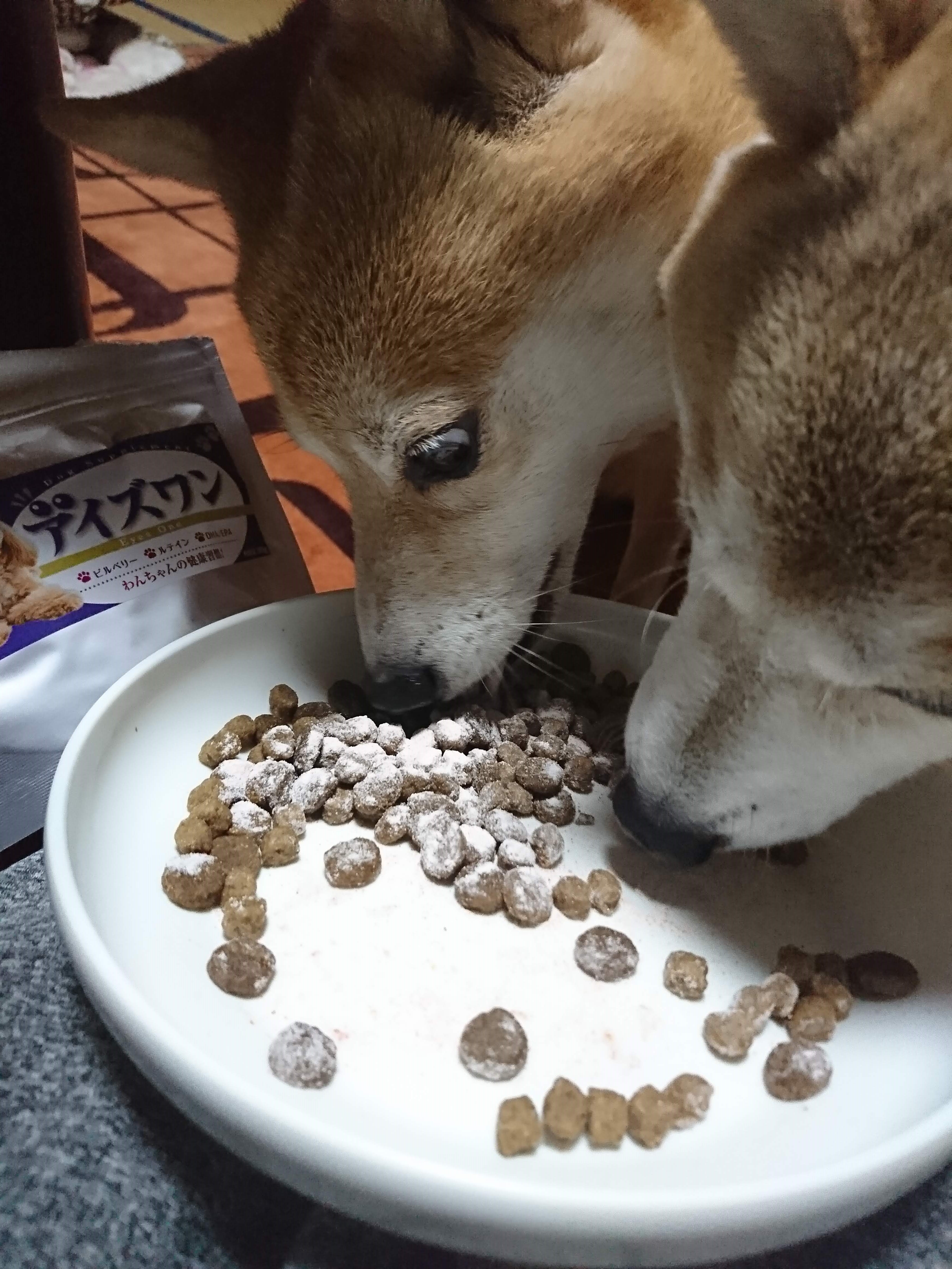 アイズワン 緑内障の犬の使用感と食いつきをレビュー アイを支えるサプリとは あの柴犬 一五と燐五のいちごが緑内障になった話